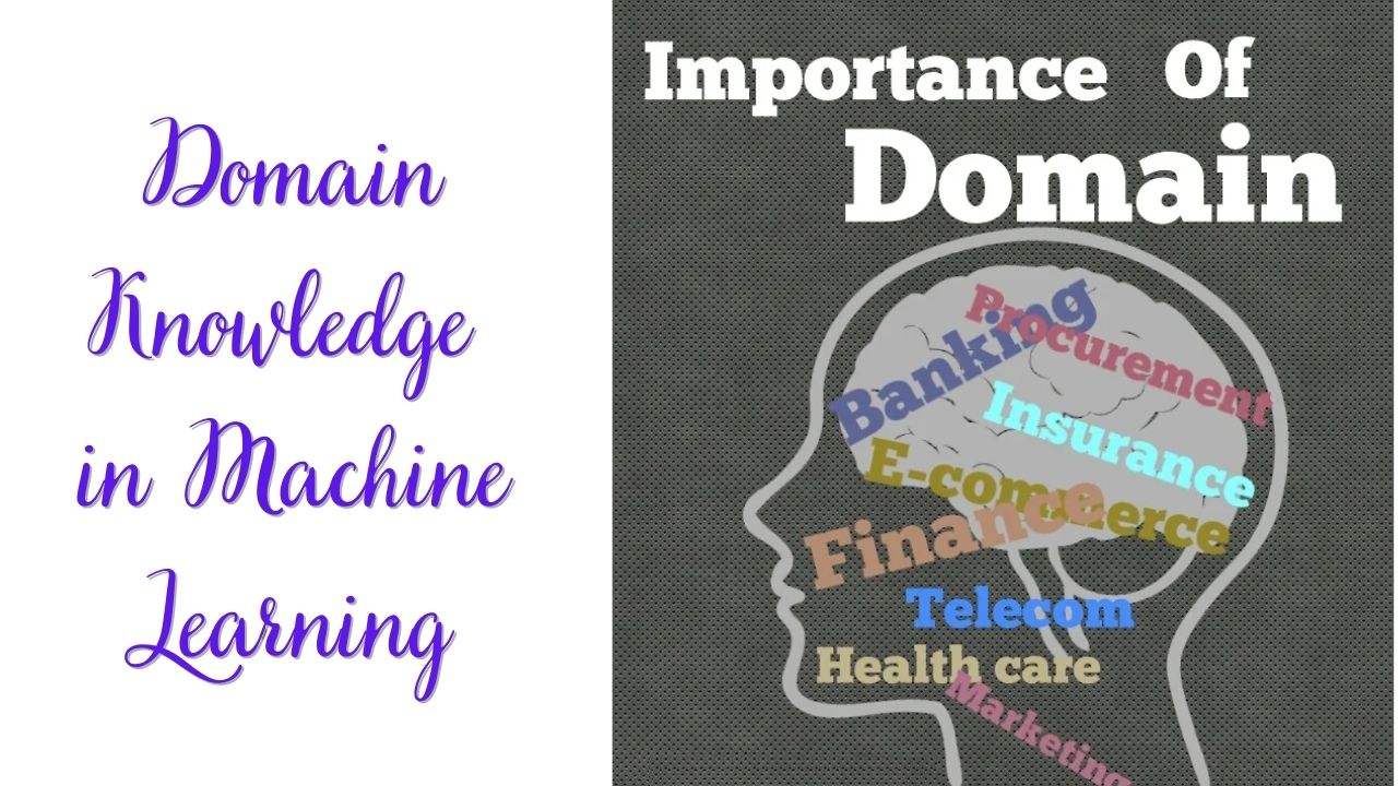 Domain Knowledge in Machine Learning