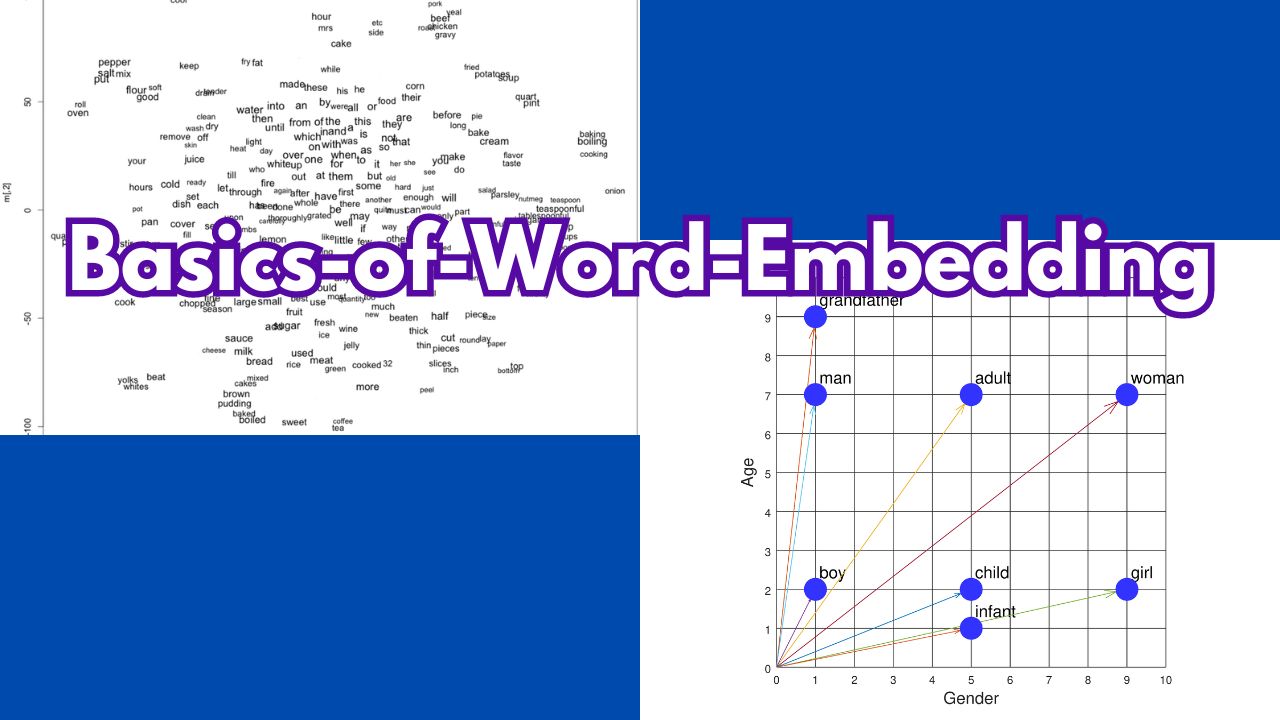 Basics of Word Embedding