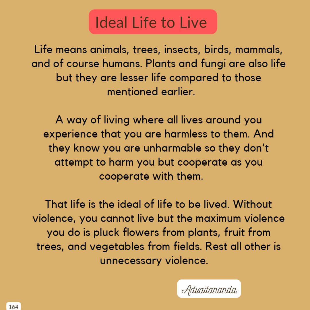 Ideal Life to Live