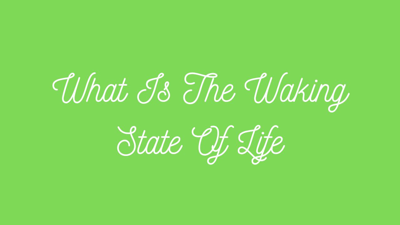 What Is The Waking State Of Life?