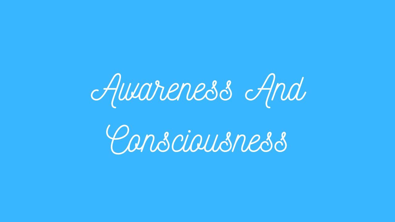 Awareness and Consciousness