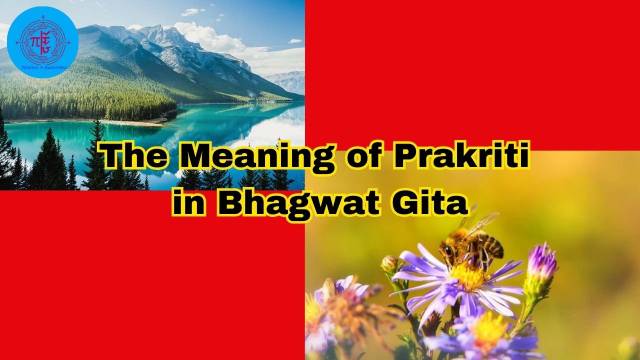 The Meaning of Prakriti in Bhagwat Gita
